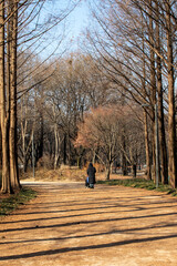 서울 숲 겨울 나들이