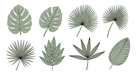 various tropical plant leaves including monstera and palm fronds are shown in a stylized green vector illustration for summer design themes.