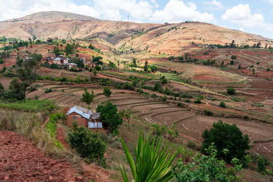 Madagascar, landscape with fertile fields in the southern highlands