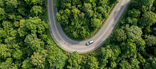 Aerial drone view of a winding road through dense green forest