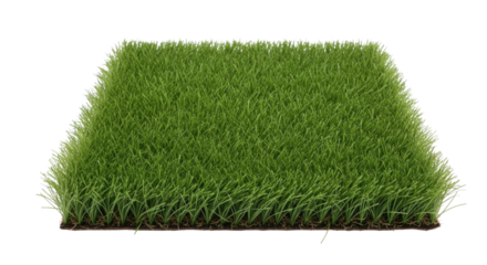 3d square of grass transparent background cutout png