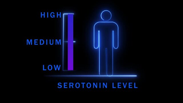 Neon human figure with serotonin level graph low to medium chart