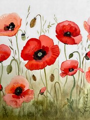 Beautiful watercolor painting of red poppies in a field