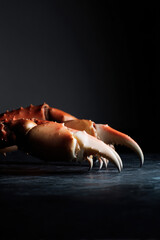 Cooked crab with claws on dark slate surface, dramatic lighting side view