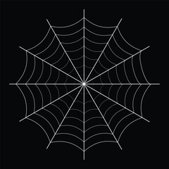 Symmetrical White Spider Web on Black Background