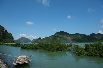 Obraz premium Halong Bay mangroves limestone islands traditional boat Vietnam at Cat Ba