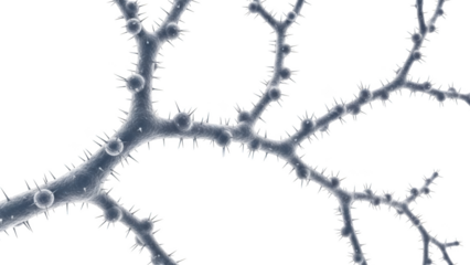 Close up of a grey branching structure with spherical nodes and sharp spikes against a black background