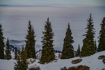 sunrise in the mountains