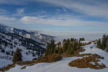 winter mountain landscape