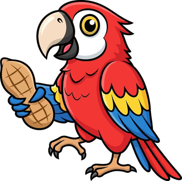 Cute Cartoon Macaw Parrot Holding a Peanut Tropical Bird Character Illustration