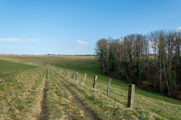 Obraz premium Chemin dans la campagne vaudoise