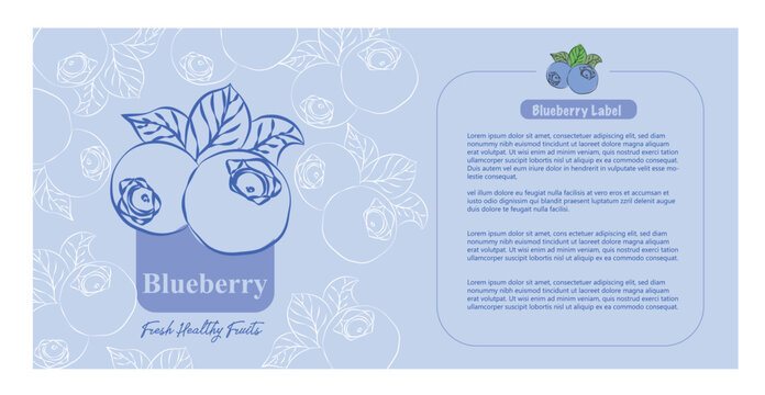 Blueberry label design, Modern Fruit Labels with Hand-Drawn Style, Packaging Design with Fruit Icons and Text, Minimal and Colorful label, label sticker design for packaging, editable print-ready