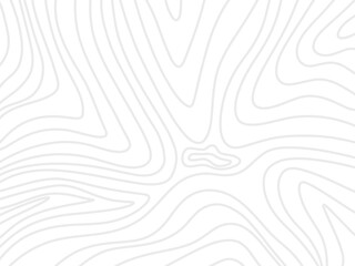 Abstract white topographic line background. Minimalist grey wood grain texture pattern. Fluid organic wavy lines design