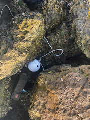 Buoy between rocks