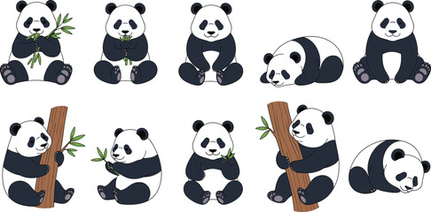 Giant panda character collection featuring flat vector designs of pandas in various poses including sitting sleeping climbing and eating bamboo for nature. © Aminul
