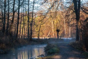 Quiet winter creek surrounded by bare trees and soft morning mist Germany, Augsburg, 10 December 2025