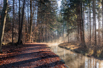 Forest path beside clear creek with rising morning mist and long shadows Germany, Augsburg, 10 December 2025