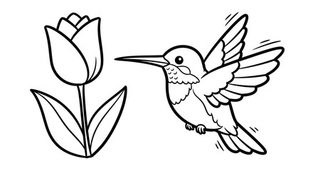 Obraz premium Hummingbird Feeding Outline