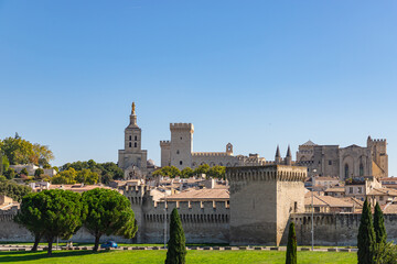 Obraz premium View of Palais des Papes in Avignon, France
