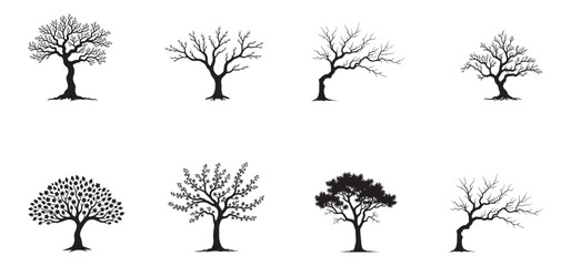 Tree Silhouette Vector Illustration, Black Tree Icon Isolated, Nature Forest Plant Silhouette Design