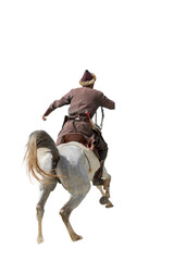 A beautiful  horse with a horswman  rider isolated on white background