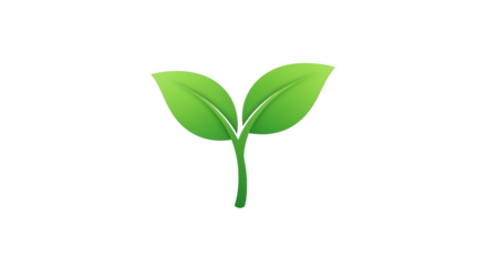 Green seedling with two leaves on png isolated transparent background black background plant sprout