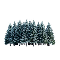 Obraz premium Majestic Snow-Covered Coniferous Trees Isolated on a transparent background, Capturing the Serene Beauty of a Winter Forest Landscape. PNG Without Background