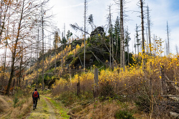 Fototapeta premium Wanderung im Herbst in der Sächsischen Schweiz mit Sandsteinfelsen