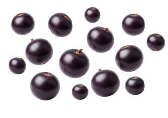 Multiple fresh, ripe, dark purple acai berries, round and smooth, with stem marks, floating mid-air against a transparent seamless background, concept of healthy superfood nutrition