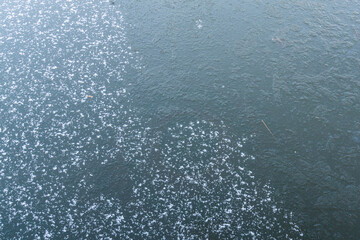 Snow on a frozen canal