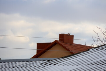 A bird rests on the top of a chimney while the sun sets, casting soft light over nearby rooftops in the neighborhood