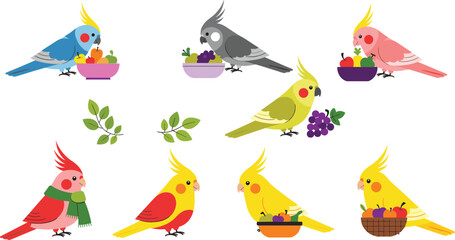 Cute Cockatiel Parrot Cartoon Set Eating Fruits Sitting and Holding Berries Vector Illustration Collection