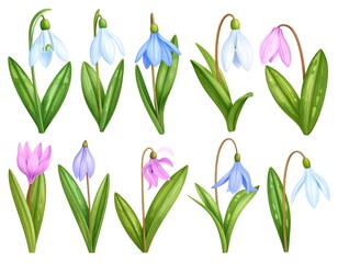 Digitally rendered illustrations of diverse snowdrop flowers showcasing varying colors and delicate green leaves on a white background