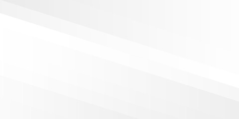 White abstract background with line pattern, banner design. Vector ilustration