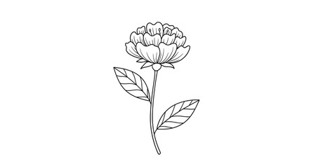 Simple and elegant hand-drawn black and white illustration of a single peony flower, perfect for botanical art and tattoo designs.