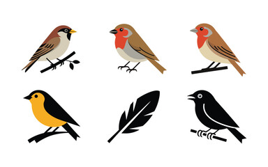 Songbird illustration set, robin, finch, sparrow characters, perched poses with feather icons, spring garden festival poster, nature class vector