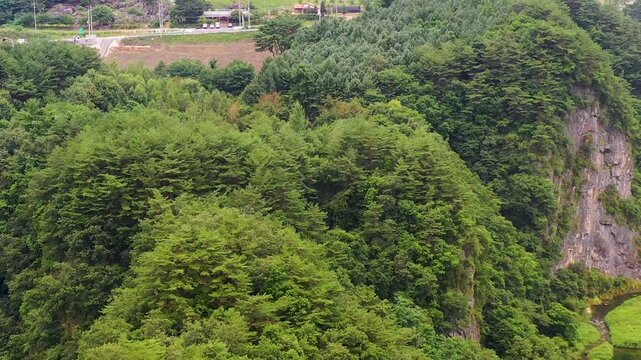 나무, 경관, 네이처, 마운튼, 경치, 여름, 공원, 고개, 목초, 계곡, 주변, 시골, 목초지, 나뭇잎, 소나무, 농촌, 드론