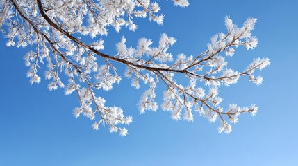 Frost-covered branches against a clear blue sky, depicting a serene winter scene filled with beauty and tranquility.