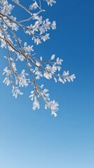 Frost-covered branches contrast beautifully against a clear blue sky, creating a serene winter landscape.