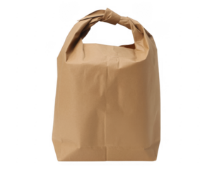 Brown paper bag with twisted handle packaging shopping bag isolated on a transparent background