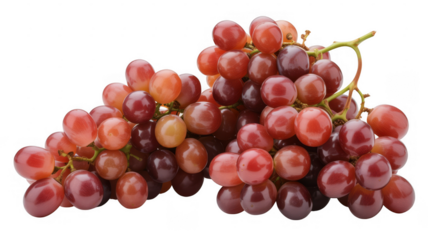 Bunch of red and purple grapes bunch of grapes fruit isolated on a transparent background
