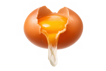 Egg yolk and white dripping from a broken chicken egg shell, fresh ingredient for cooking and baking