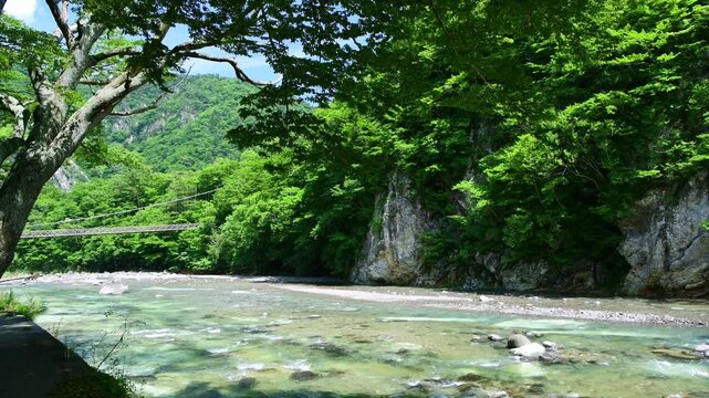 栃木県那須塩原市　塩原温泉に流れる箒川と七ッ岩吊橋