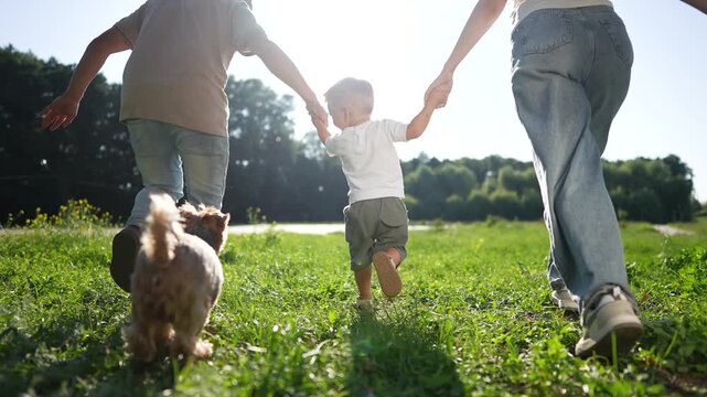 A boy holds hands with a man and a woman while run across the grassy field. family run. the dog follows the boy, the man, and the woman enthusiastically in the bright sunlight.