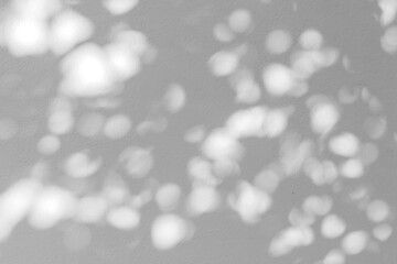 trees branch and leaf with shadow on a white concrete wall. Leaf pattern. Blurred background.