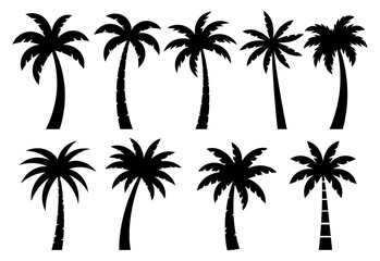 Tropical coconut palm tree silhouettes vector illustration