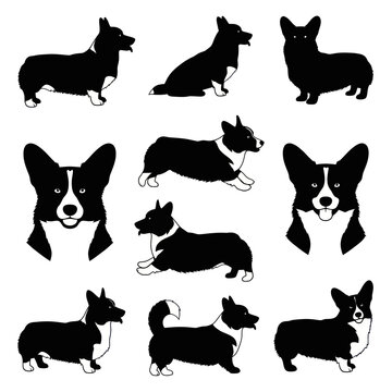 Collection of Black and White Corgi Dog Silhouettes.