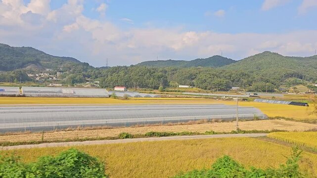 Peaceful rural Korea countryside landscape