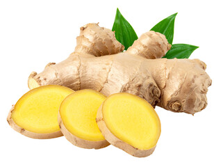 Fresh ginger root isolated for packaging and advertising