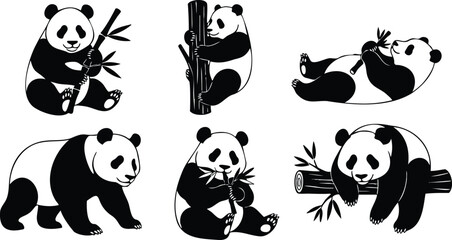 Obraz premium Flat vector set of six playful giant panda poses eating bamboo climbing log sitting lying walking hugging branch minimal black and white cute close up illustration